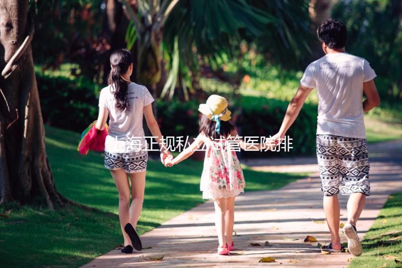 上海正規(guī)私立試管醫(yī)院排名發(fā)布，哪家助孕公司好一覽了然