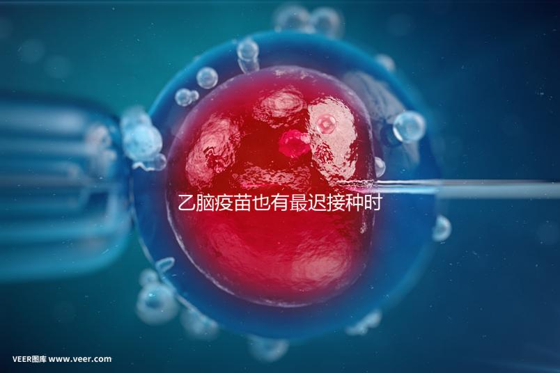 乙腦疫苗也有最遲接種時間，超過這個年齡段打效果差很多