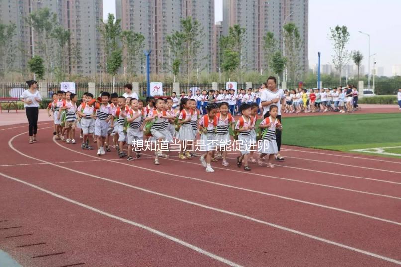 想知道當(dāng)歸是否能促進卵泡發(fā)育，加入棗也能補充內(nèi)膜