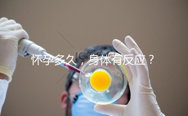 懷孕多久，身體有反應？