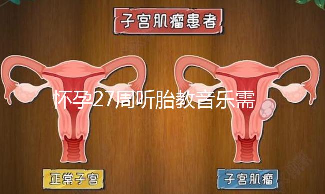 懷孕27周聽胎教音樂需要多長時間？過長會損害聽力