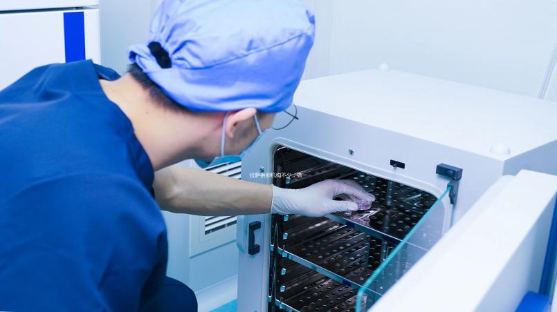 拉薩供卵機(jī)構(gòu)不少,做一次三代試管生男孩費(fèi)用沒你想的高