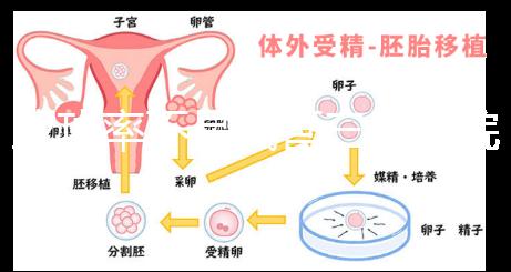 成功率不是試管三甲醫(yī)院或私立醫(yī)院的唯一標(biāo)準(zhǔn)