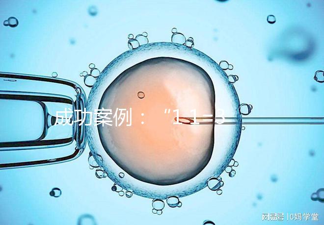 成功案例:“1 1=3”