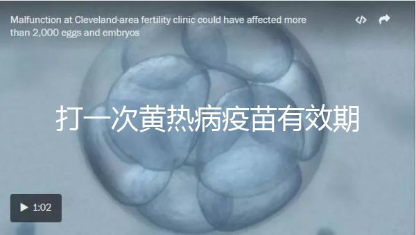 打一次黃熱病疫苗有效期限10年，提前注射時間是關鍵