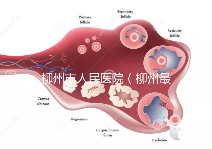 柳州市人民醫院(柳州最厲害的三個醫院)