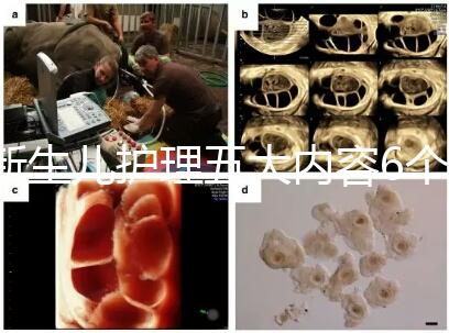 新生兒護理五大內容6個要點整理，嬰兒養育照護干貨來了