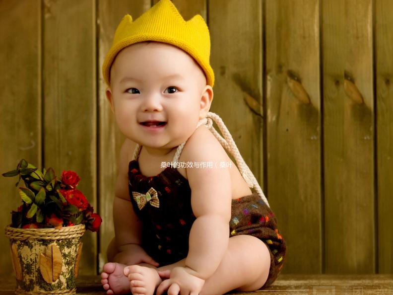 桑葉的功效與作用(桑葉的功效與作用泡水喝的功效)