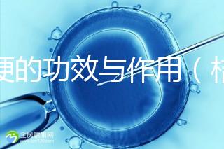 桔梗的功效與作用(桔梗為何盡量少吃)