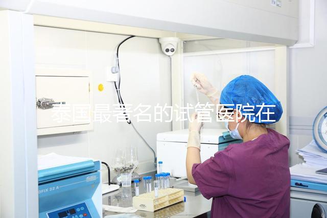 泰國(guó)最著名的試管醫(yī)院在哪里最好?推薦助孕機(jī)構(gòu)名單