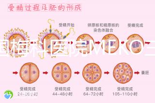 泰國梅科醫(yī)院MEKO三代試管嬰兒，不靠中介翻譯安心好孕