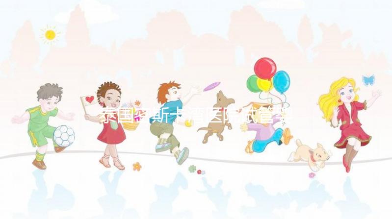 泰國密斯卡灣醫(yī)院試管嬰兒價格指南附項目及費用明細！