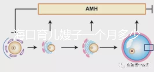 ?？谟齼荷┳右粋€月多少錢，哪個好答案總結，新手父母必須看