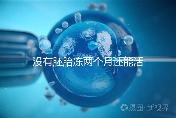 沒有胚胎凍兩個月還能活著嗎？60s會告訴你怎么樣？