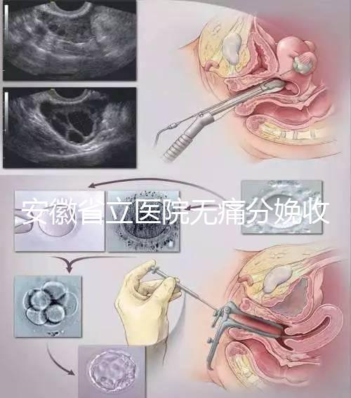 安徽省立醫(yī)院無痛分娩收費標準，過來人經歷告訴你怎么樣