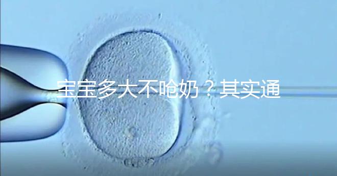 寶寶多大不嗆奶?其實(shí)通常到了足夠的月份就不會(huì)嗆奶了