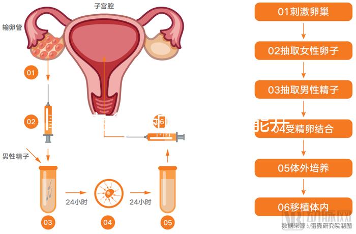 寶寶金水和花露水不能并為一談,兩者有著這2大區(qū)別