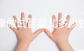 天津做試管嬰兒多少錢(qián)啊