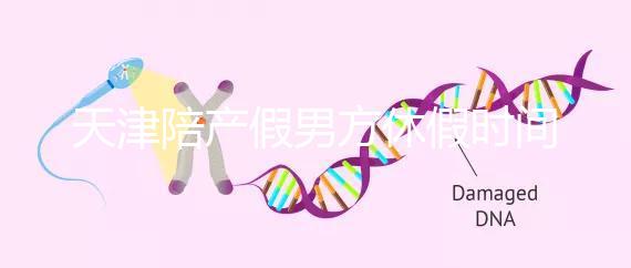 天津陪產(chǎn)假男方休假時間2024已揭曉，是否含周末統(tǒng)一回復