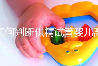 如何判斷供精試管嬰兒離婚，會不會一目了然地判給女方？