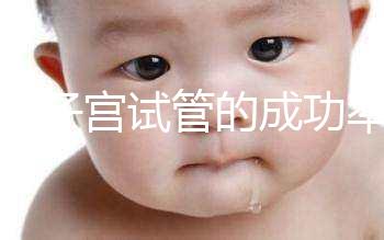弓形子宮試管的成功率在這里有多少答案？這樣做著床并不難