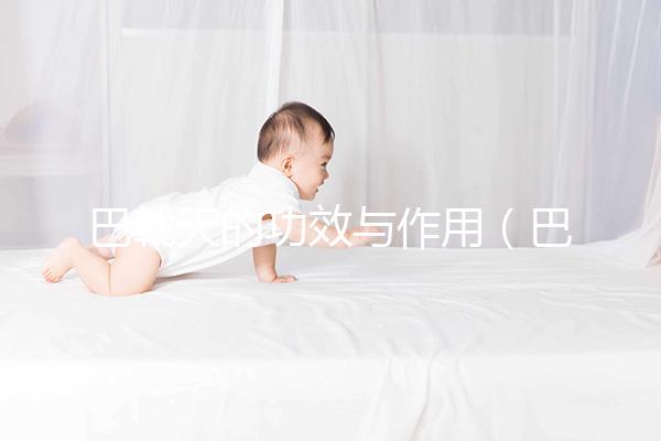 巴戟天的功效與作用（巴戟天配什么壯陽最猛）