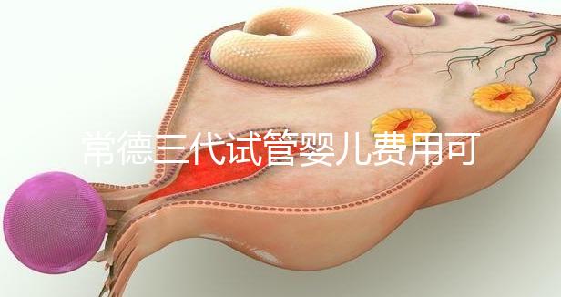 常德三代試管嬰兒費用可以報銷嗎？內附試管費用明細
