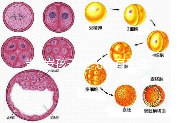 帶3歲孩子坐飛機有無綠色通道答案揭曉，提前申請免排隊