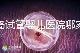 青島試管嬰兒醫(yī)院哪家比建議，成功率有多少？