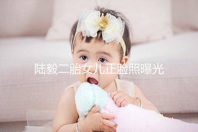 陸毅二胎女兒正臉照曝光，小葉子與姐姐像極了雙胞胎