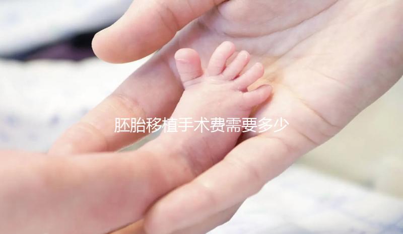 胚胎移植手術費需要多少錢