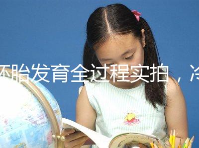 胚胎發育全過程實拍，冷凍胚胎移植后著床圖解（視頻）