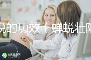 蟬蛻的功效(蟬蛻壯陽功效作用)