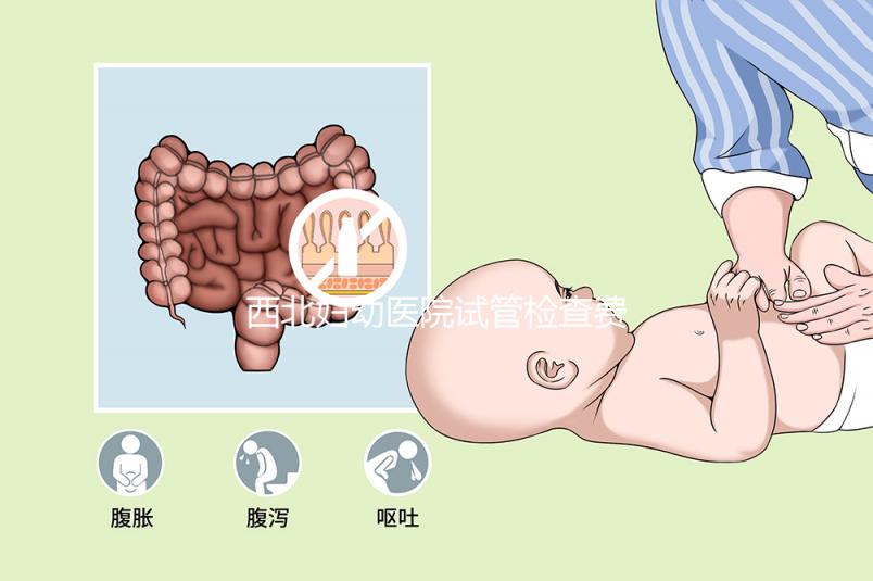 西北婦幼醫院試管檢查費用流出！做完記得來這領報告單