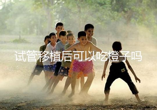 試管移植后可以吃橙子嗎？懷孕初期涼性食物不能吃？