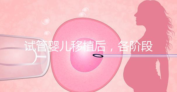 試管嬰兒移植后，各階段如何保胎？