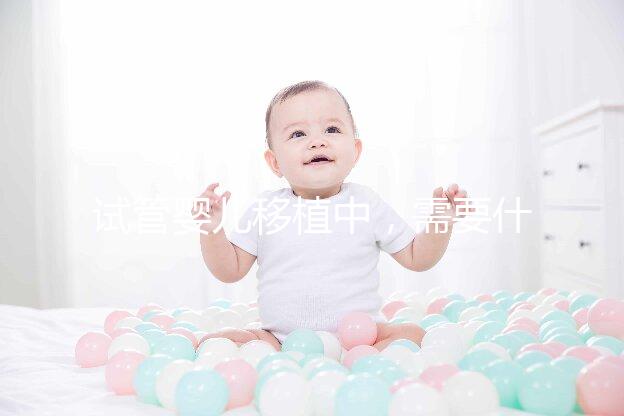 試管嬰兒移植中,需要什么樣的子宮內(nèi)膜條件?