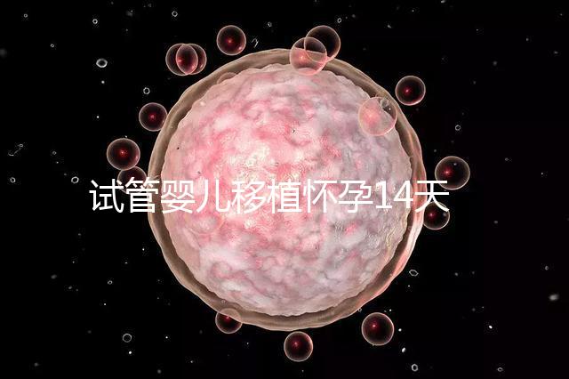 試管嬰兒移植懷孕14天，還能吃巧克力餅干嗎？