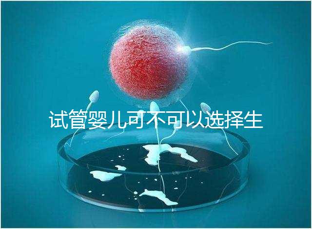 試管嬰兒可不可以選擇生男生女（試管嬰兒可不可以選擇生男生女嗎）