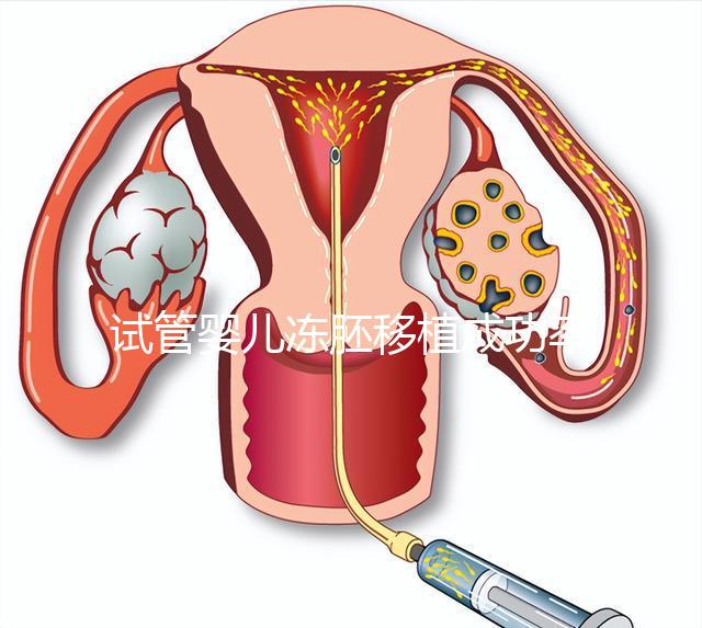 試管嬰兒凍胚移植成功率更高？?jī)雠吆王r胚有何不同？