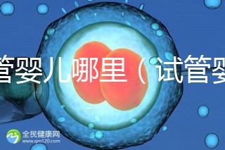 試管嬰兒哪里（試管嬰兒哪里做的最好的醫院）