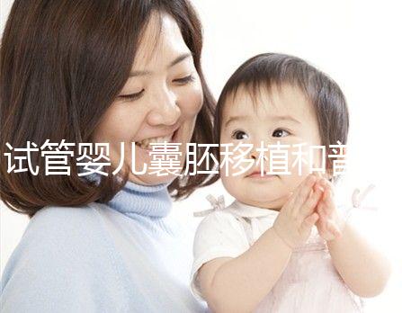 試管嬰兒囊胚移植和普通胚胎移植,有何區(qū)別?