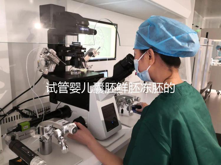 試管嬰兒囊胚鮮胚凍胚的區(qū)別是什么?鮮胚移植VS凍胚移植,哪個(gè)成功率高?