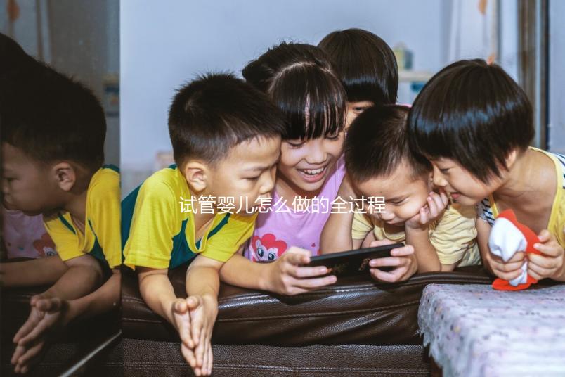 試管嬰兒怎么做的全過程／什么是第三代試管嬰兒／試管嬰兒多少錢／試管助孕成功率／流程／中國試管嬰兒醫院有哪些／北京、上海、武漢、廣州、深圳等地的試管嬰兒三甲醫院技術哪家比較好等系列問題解答-作者：波拿巴