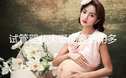 試管嬰兒大概需要費用多少?怎么確定花多少錢?