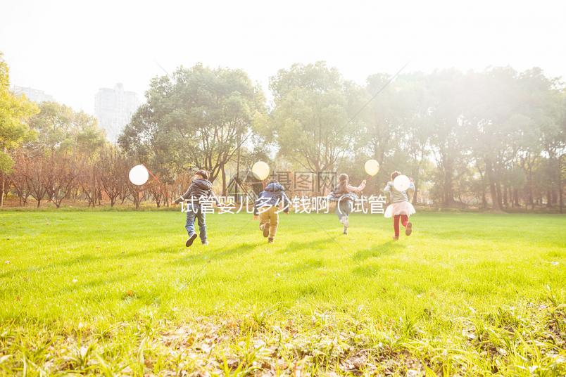 試管嬰兒多少錢?。ㄔ嚬軏雰憾嗌馘X啊一般來說）