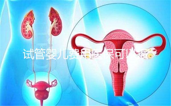 試管嬰兒費用醫保可以報銷嗎（北京試管嬰兒費用醫保可以報銷嗎）