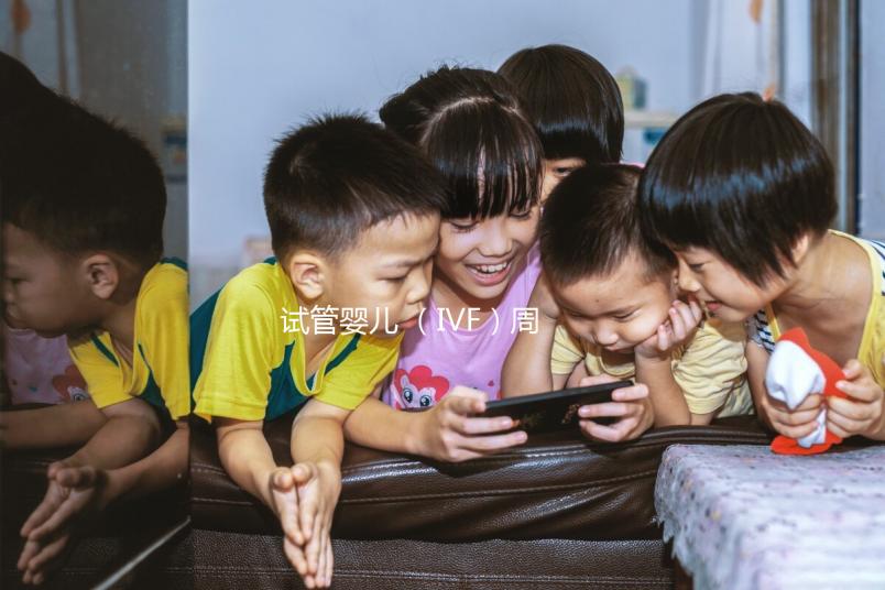試管嬰兒 (IVF)周期詳解