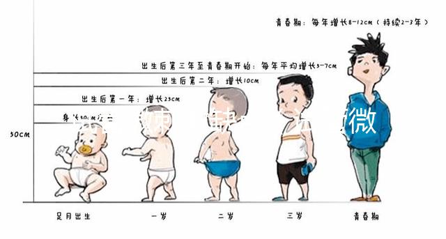 試管微刺激缺點(試管微刺激方案的優(yōu)勢)