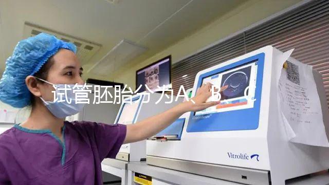 試管胚胎分為A、B、C、D四級，那么每一級分別代表什么？